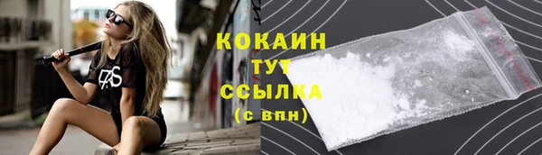 ПСИЛОЦИБИНОВЫЕ ГРИБЫ Аркадак