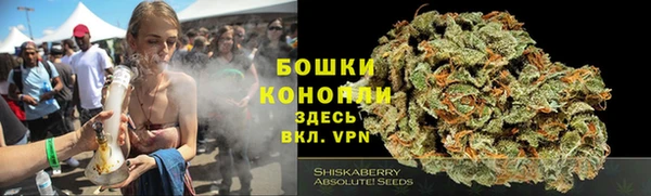 бошки Арсеньев