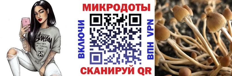 Галлюциногенные грибы Magic Shrooms  Руза 